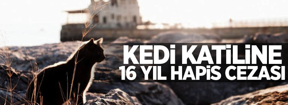 Levrek fırında nasıl pişirilir. En lezzetli yemekler Levrek fırında nasıl pişirilir. En lezzetli yemekler
