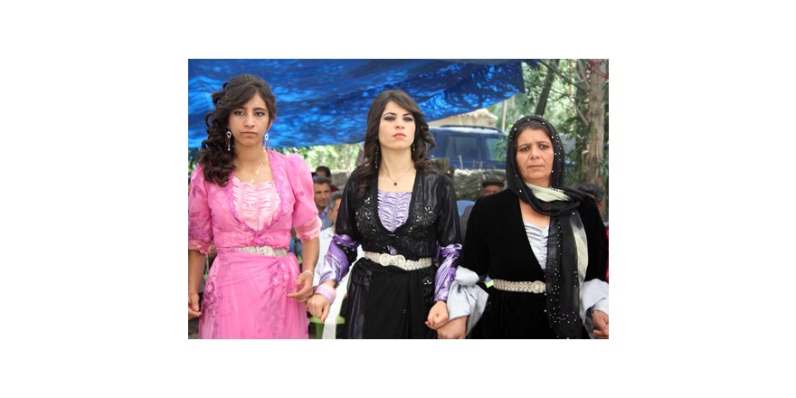 30-01 Temmuz 2012 Yüksekova Düğünleri