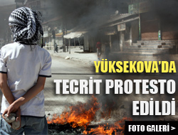 Yüksekova'da Tecrit Protesto Edildi 1