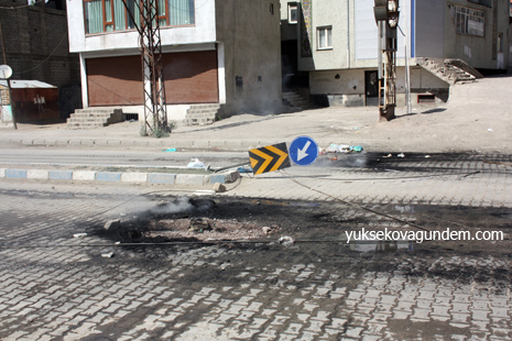 Yüksekova'da Tecrit Protesto Edildi 12