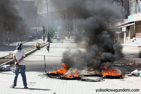 Yüksekova'da Tecrit Protesto Edildi 5