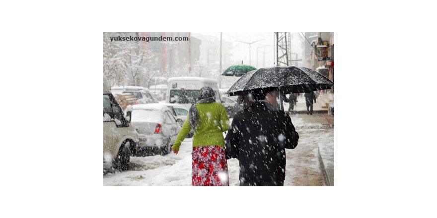 Yüksekova'da Kar Yağışı