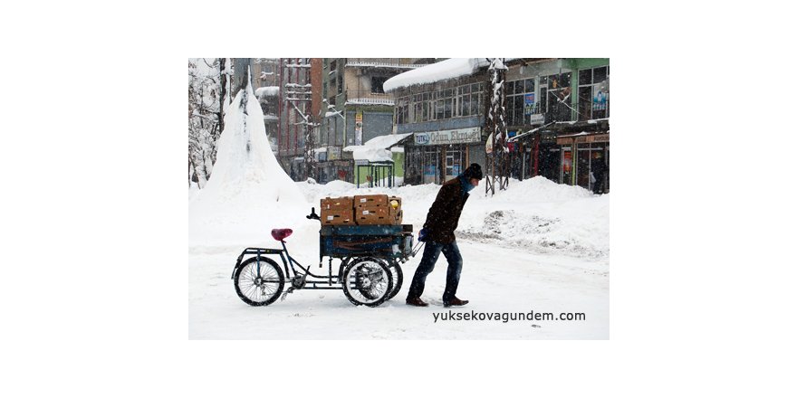 Yüksekova'da Kar Esareti