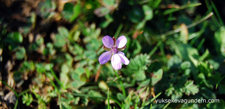 Şemdinli'de İlk Bahar Havası 18