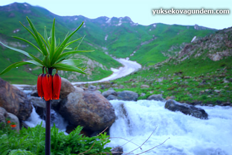 Sat ikiyaka Dağları 28