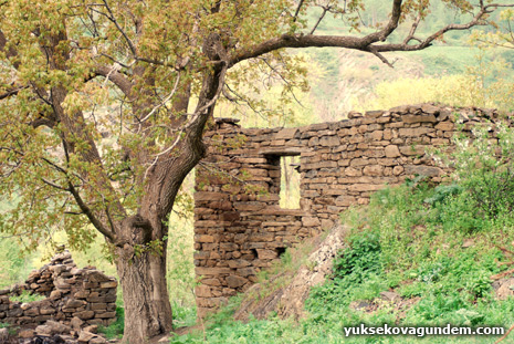 Sat ikiyaka Dağları 36