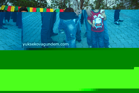 Yüksekova'da Konser 12