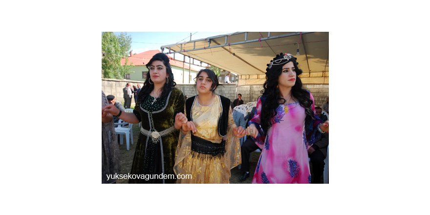 Yüksekova Düğünleri (01-02) Haziran 2013