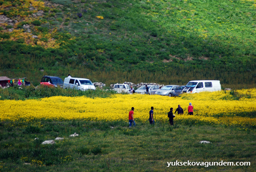 Berçelan Festivali devam ediyor 4