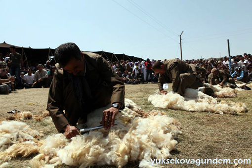 Fotoğraflarla Beytüşşebap Berxbir Festivali 35