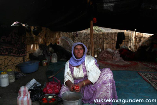 Fotoğraflarla Beytüşşebap Berxbir Festivali 37