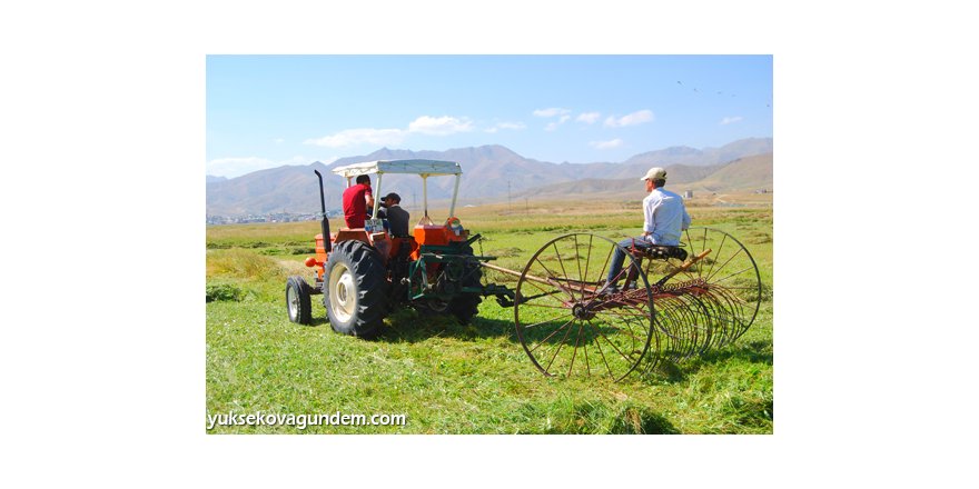 Bunaltıcı Sıcağa Aldırmadan Ot Topluyorlar
