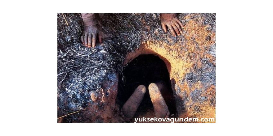 İnanılmaz Dev Piton Avı