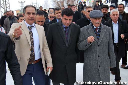 Demirtaş Yüksekova'da 20