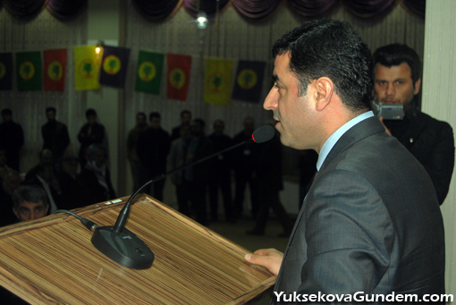 Demirtaş Yüksekova'da 44