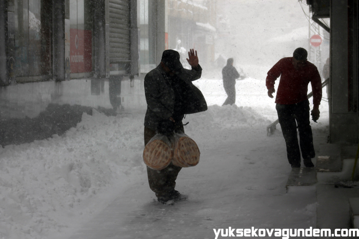 Yüksekova'da Kar Yağışı,Okullar Tatil Edildi 19