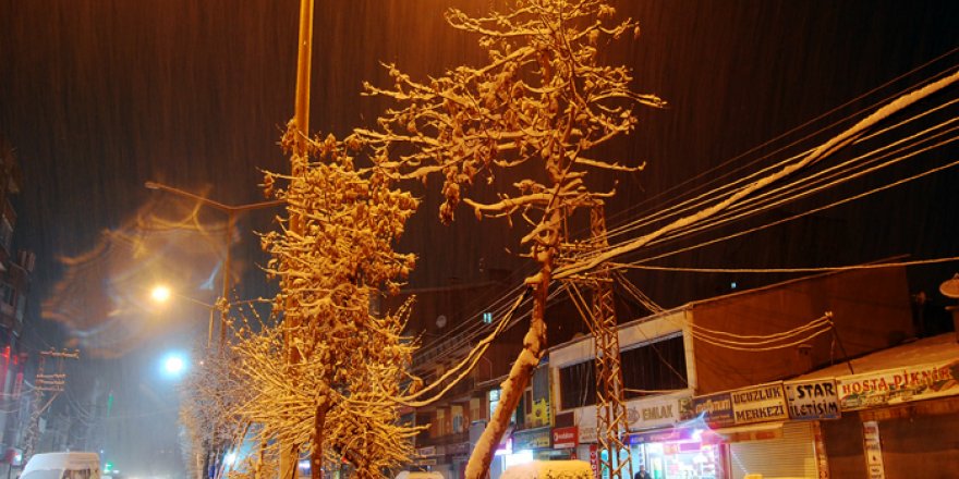 Yüksekova'da Kar Yağışı,Okullar Tatil Edildi