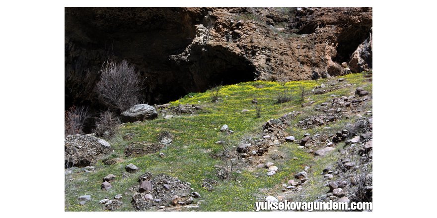 Yüksekova'da Kar, Çukurca'da Bahar