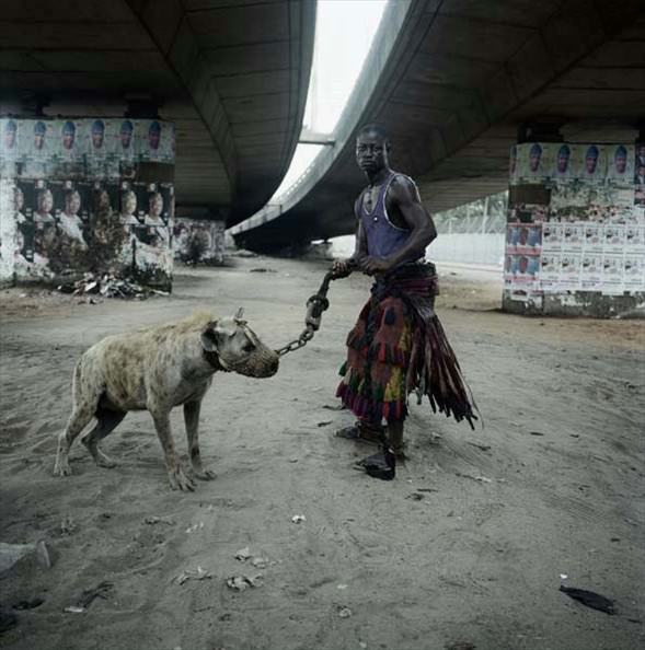 Afrika'nın evcil hayvanları! 10