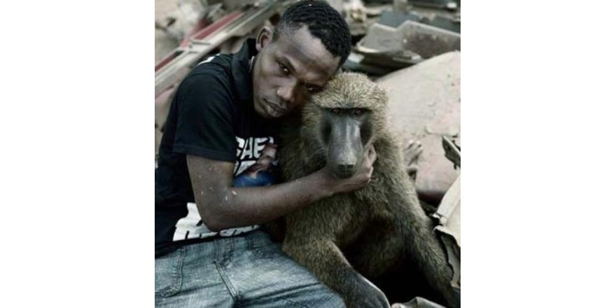 Afrika'nın evcil hayvanları!