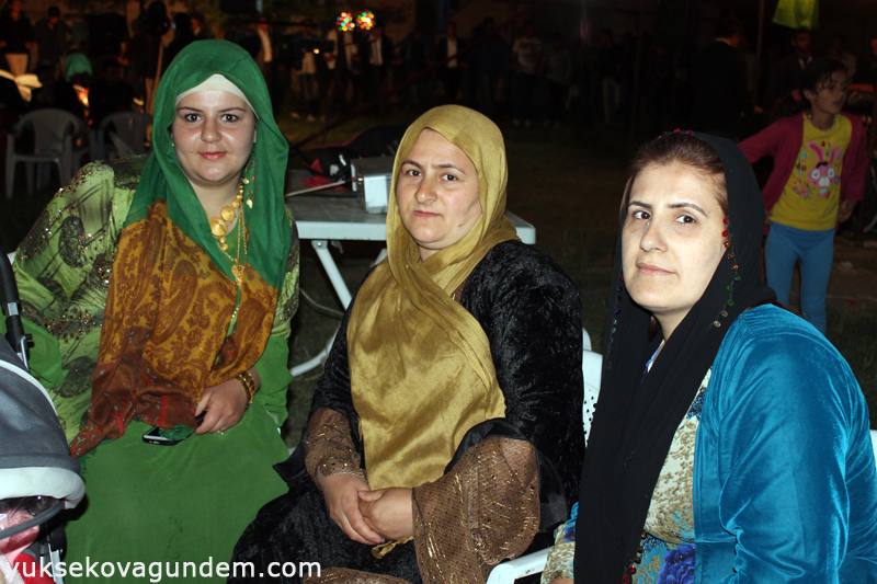 Yüksekova Düğünleri (30-31) Mayıs 2015 255