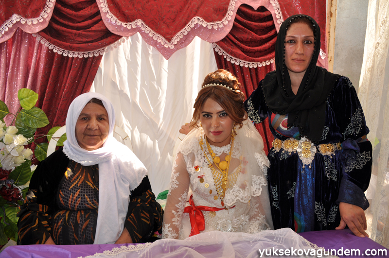 Yüksekova Düğünleri (25-26) Temmuz 2015 49