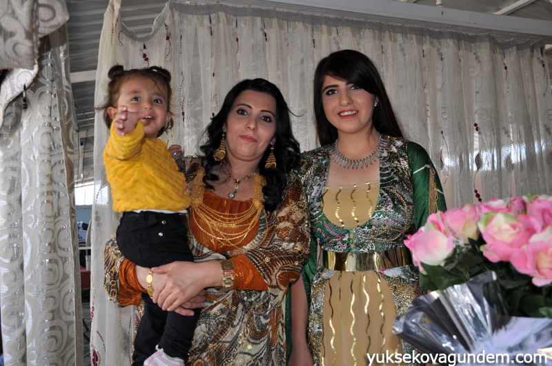 Yüksekova Düğünleri (10-11) Ekim 2015 129