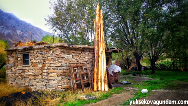 Hakkari'de Sonbahar (Payiz) 21