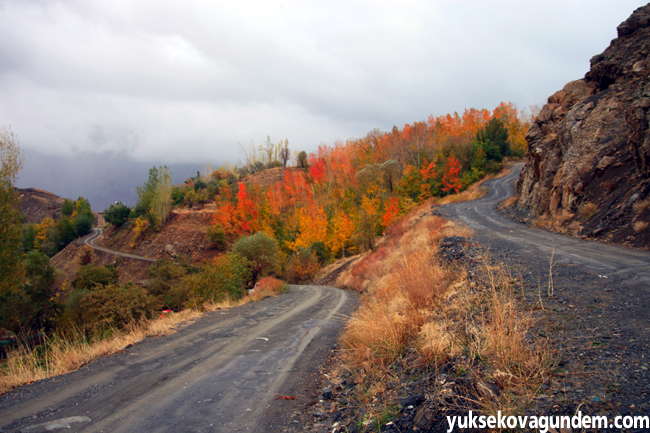 Hakkari'de Sonbahar (Payiz) 3