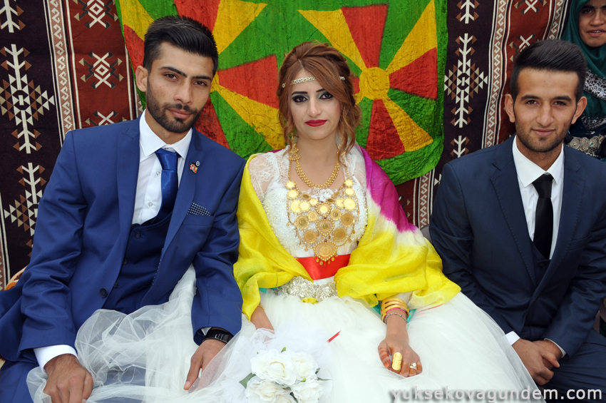 Yüksekova Düğünleri (07-08) Kasım 2015 47