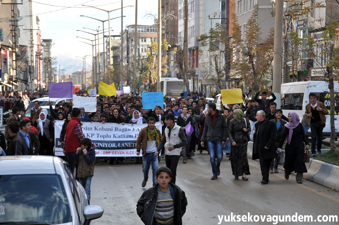 Yüksekova 'Silvan' yürüdü 8