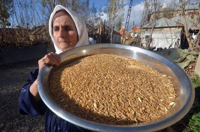 Yöresel yemekler için dövülmüş buğday 6