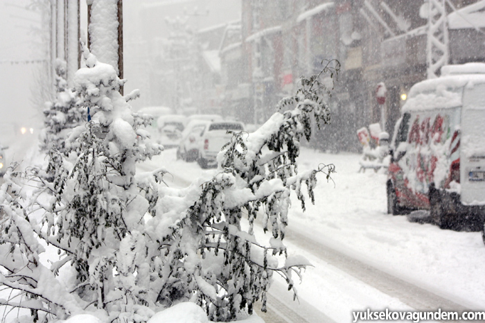 Yüksekova'ya yılın ilk karı düştü 19