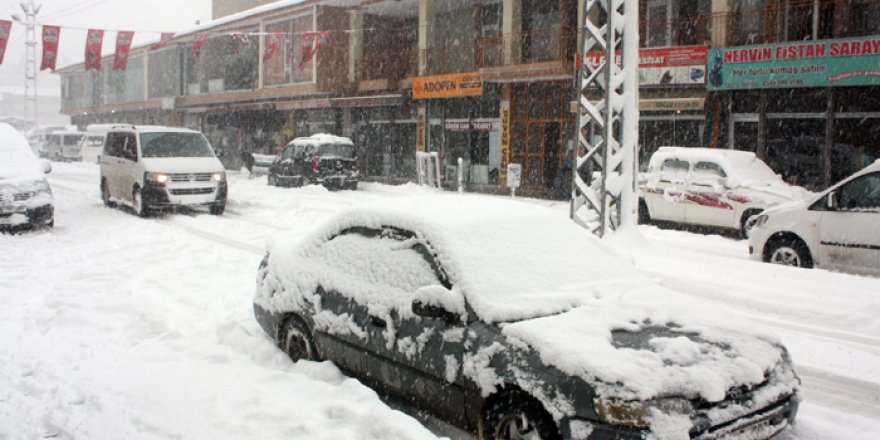 Yüksekova'ya yılın ilk karı düştü