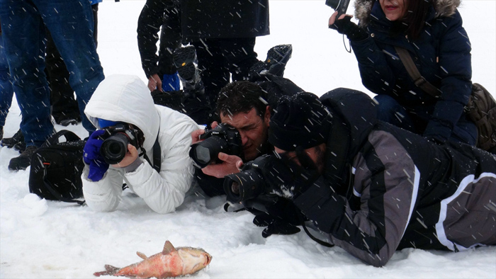 Donan göle fotoğrafçı ilgisi 4