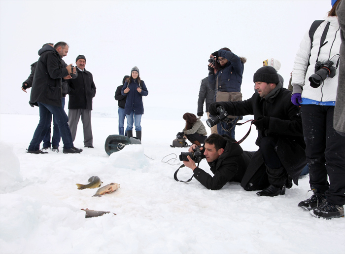 Donan göle fotoğrafçı ilgisi 5