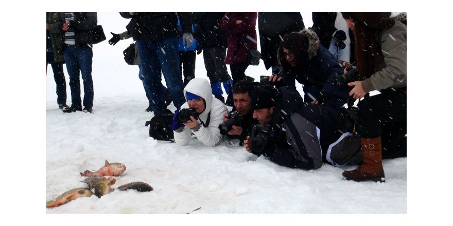 Donan göle fotoğrafçı ilgisi