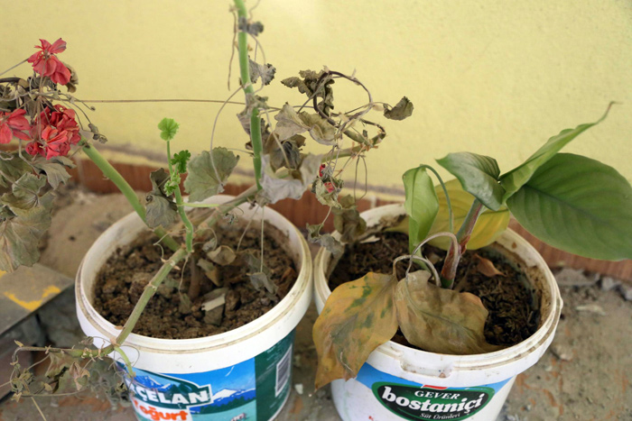 Yüksekova'dan yeni fotoğraflar 107