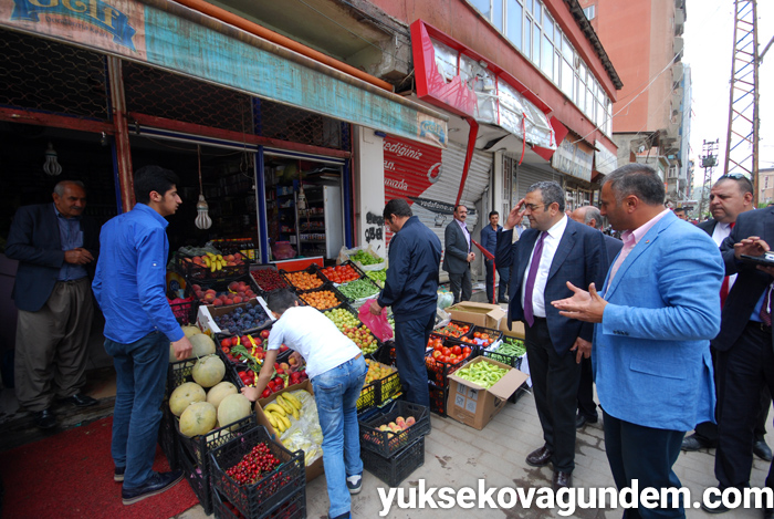 CHP Milletvekili Tanrıkulu Yüksekova'da incelemelerde bulundu 8