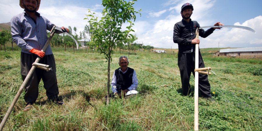 Yüksekova'da kış hazırlıkları başladı