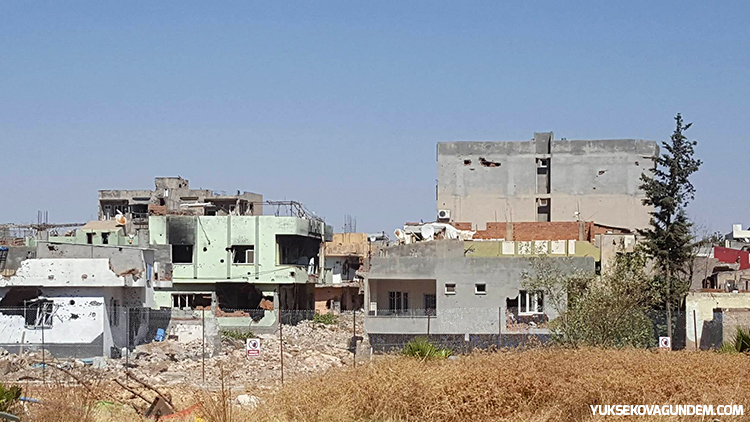 Nusaybin'den Fotoğraflar 17