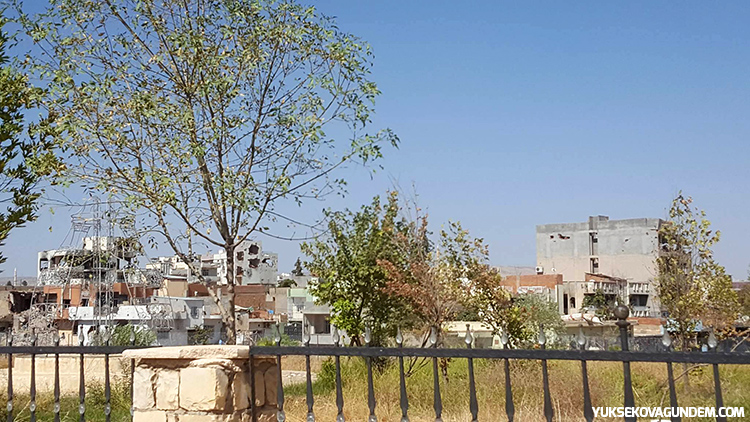 Nusaybin'den Fotoğraflar 25