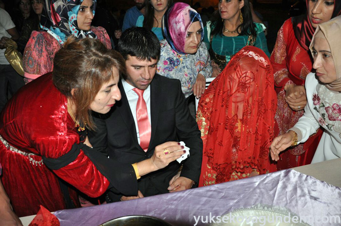 Aslan Ailesinin Mutlu Günü 127