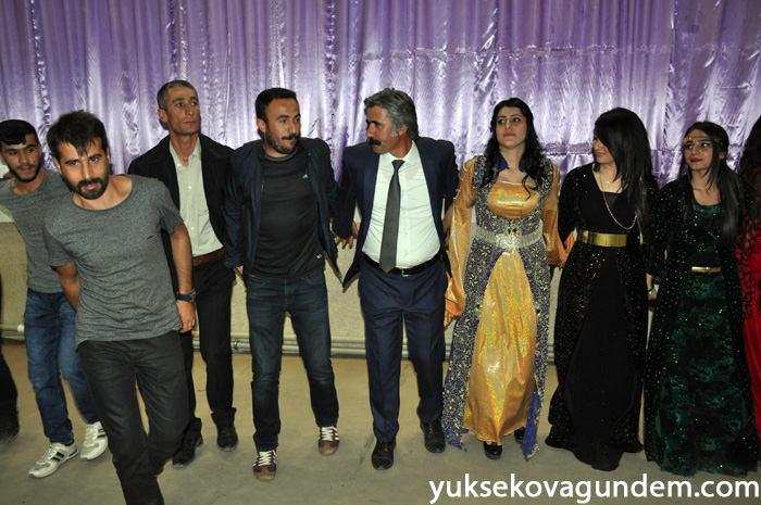 Aslan Ailesinin Mutlu Günü 135