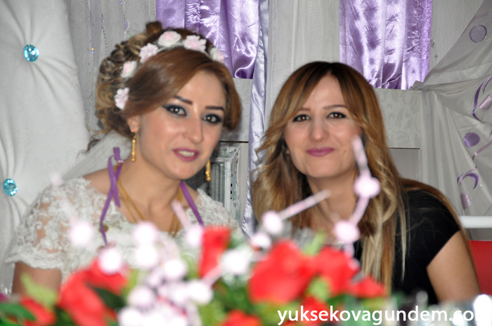 Aslan Ailesinin Mutlu Günü 153