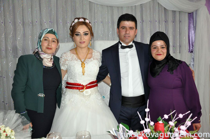 Aslan Ailesinin Mutlu Günü 157