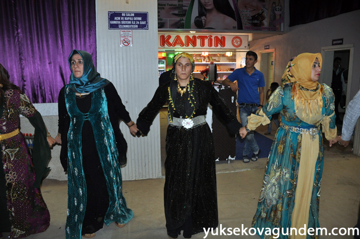 Aslan Ailesinin Mutlu Günü 178