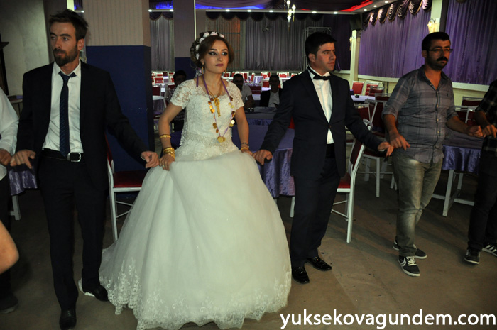 Aslan Ailesinin Mutlu Günü 185