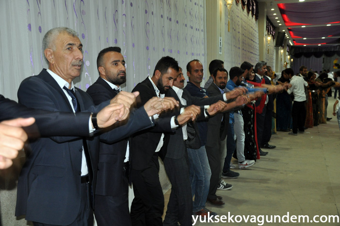 Aslan Ailesinin Mutlu Günü 189