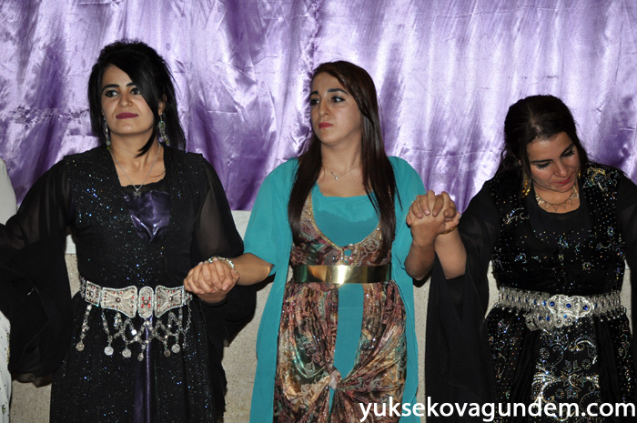 Aslan Ailesinin Mutlu Günü 196